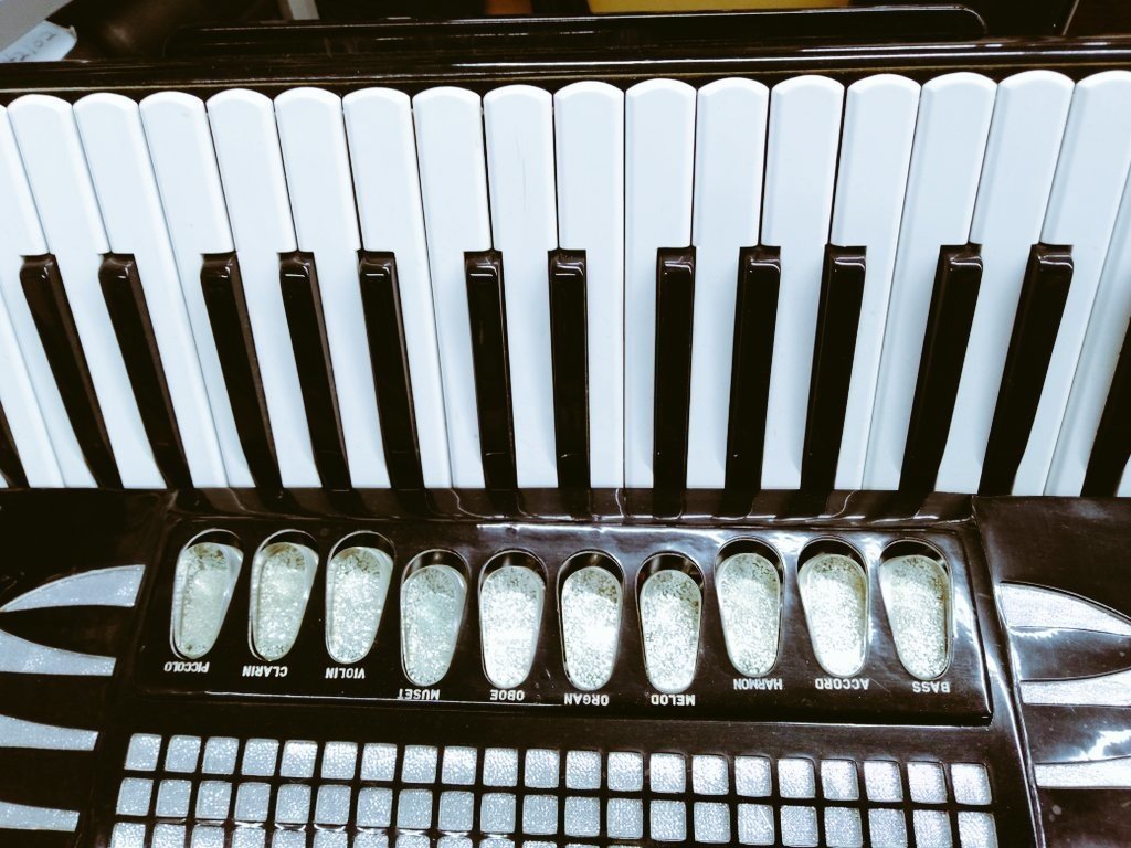 中古】 Excelsiola 714 (Product of Excelsior)｜アコーディオン横丁