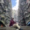 Hollywood_LEO