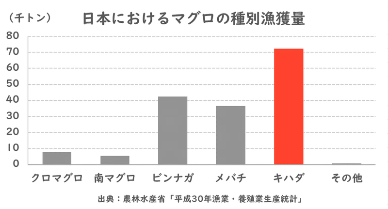 マグロの種別漁獲量