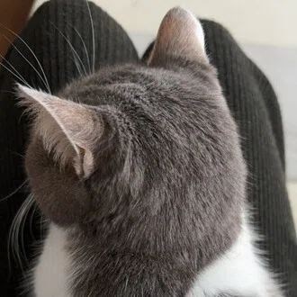 みのむし