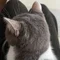みのむし