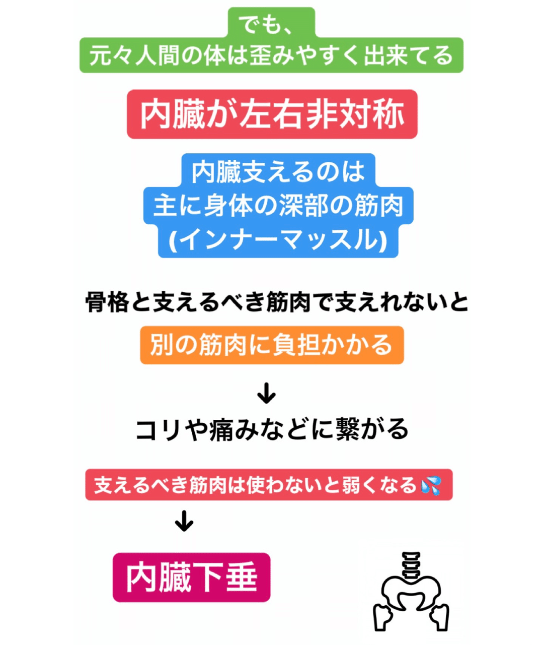 骨盤の話 開き ってなに 伊藤 陵亮 Note