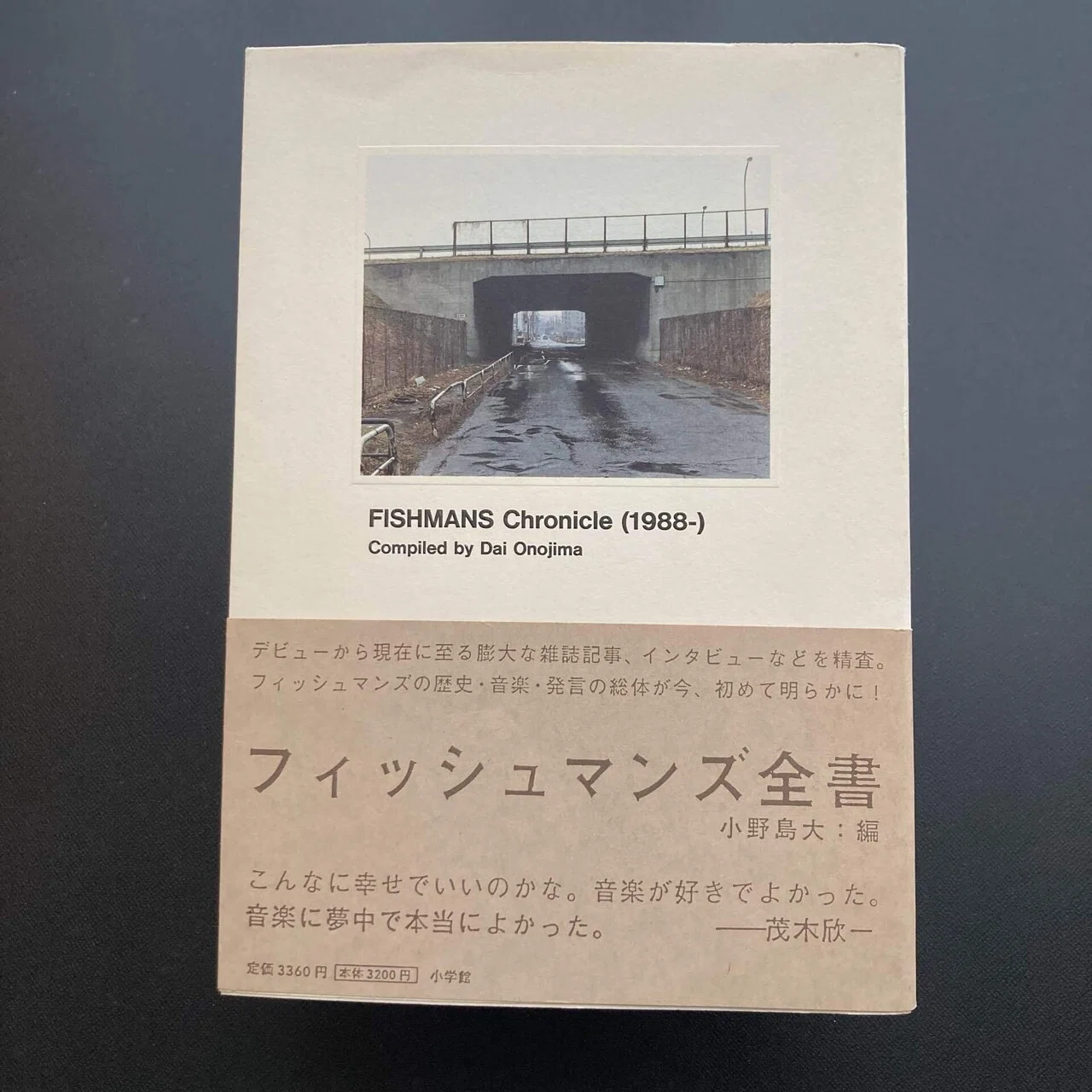 フィッシュマンズ全書｜ロムド書店の書架