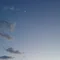 常盤緑