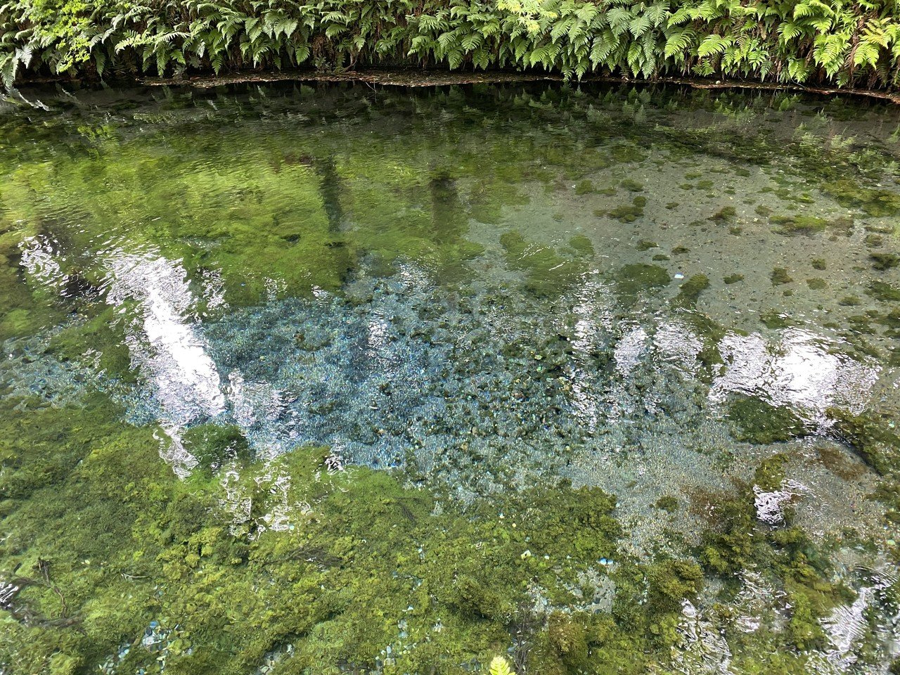 綺麗な湧き水の画像 今日は文章書けずすみません かいてゅー Note 綺麗な湧き水の画像 今日は文章書けずすみません かいてゅー Note