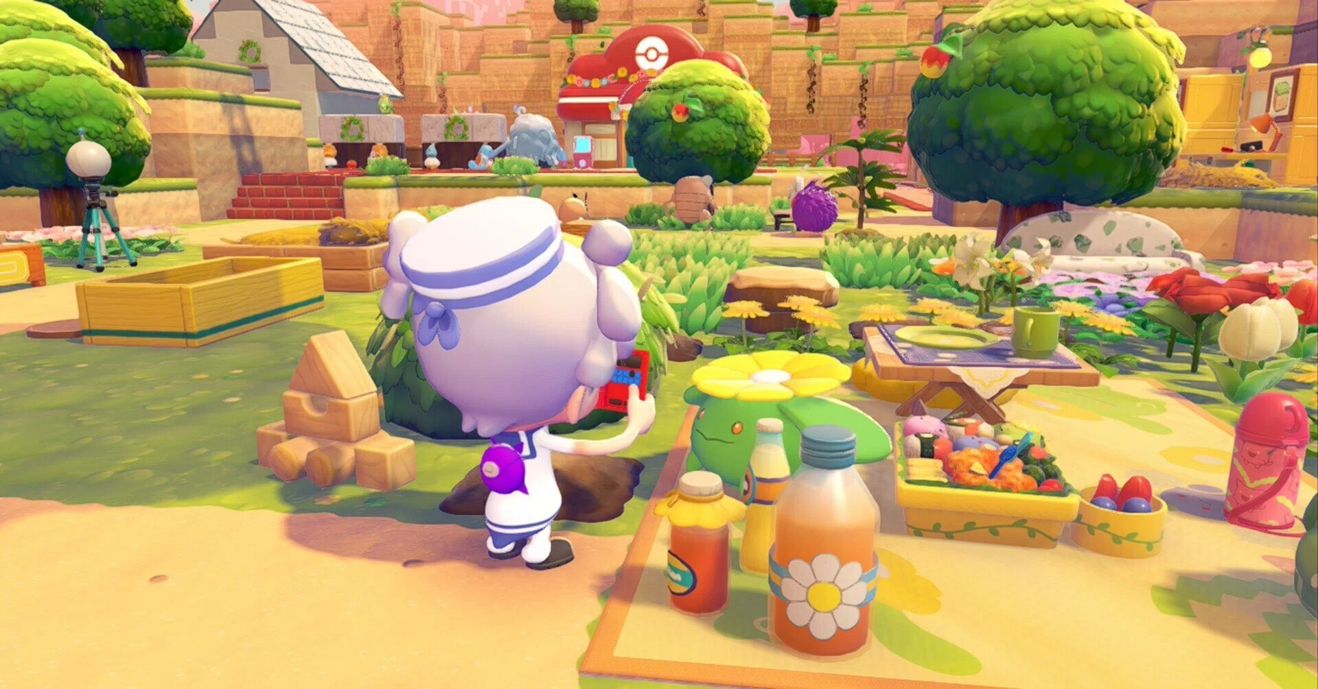ぽこあポケモン】謎が多いカントー地方？｜ジジノビビ