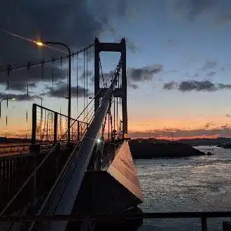 夜の無糖