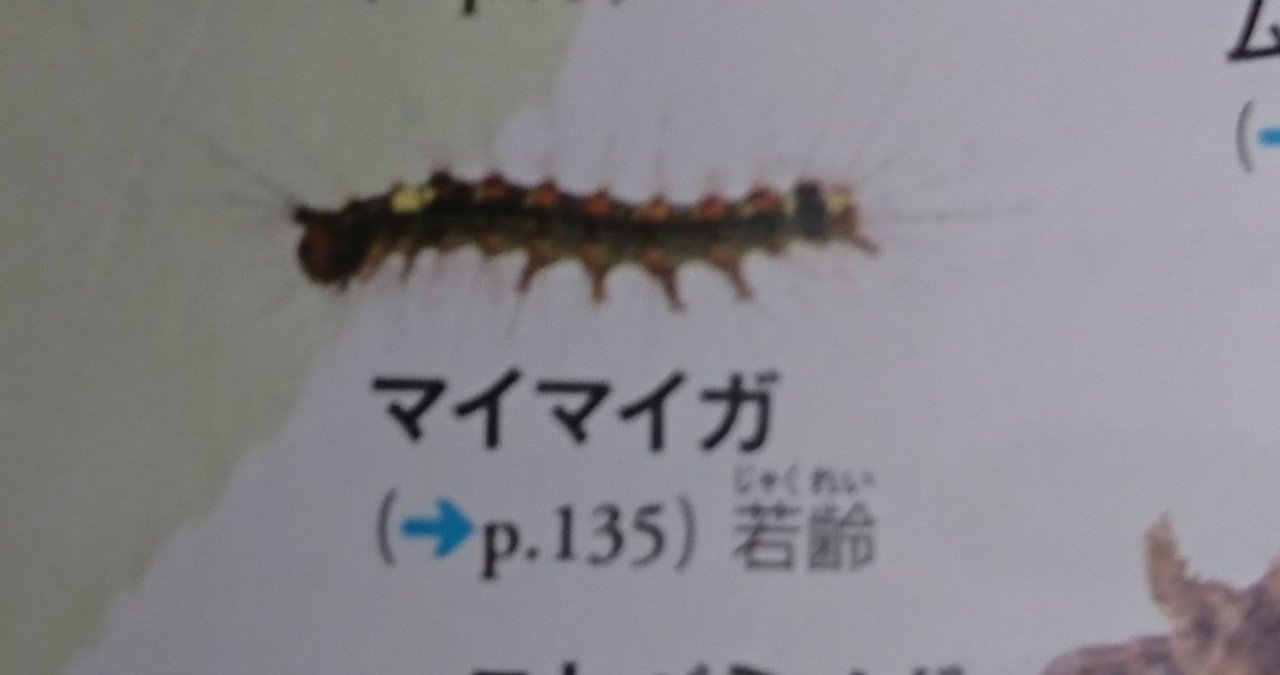 図鑑でリベンジ 外の生き物 今度こそ解答編 昆虫注意 丸山おまる Note