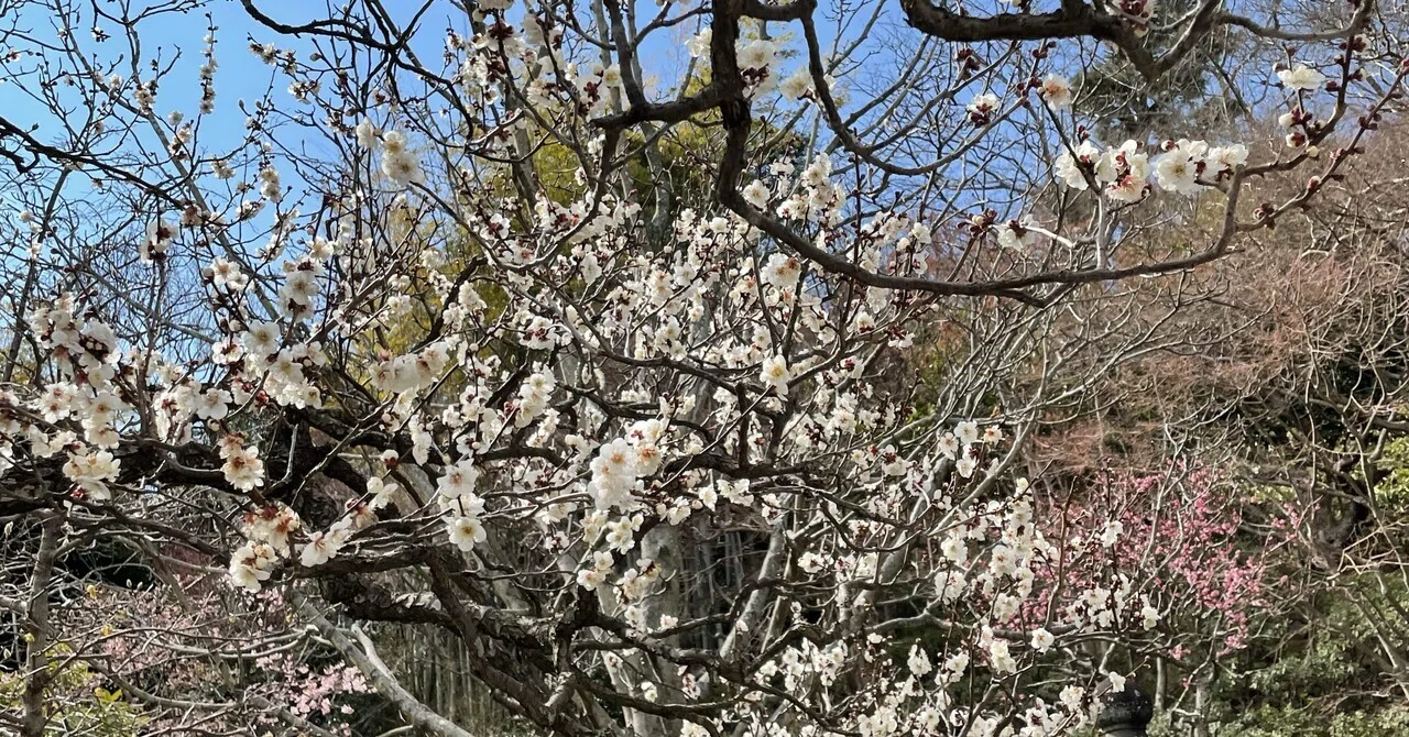 Accumulate Energy Example Why Spring Makes Us Tired: The Relationship Between Delayed Fatigue and ...