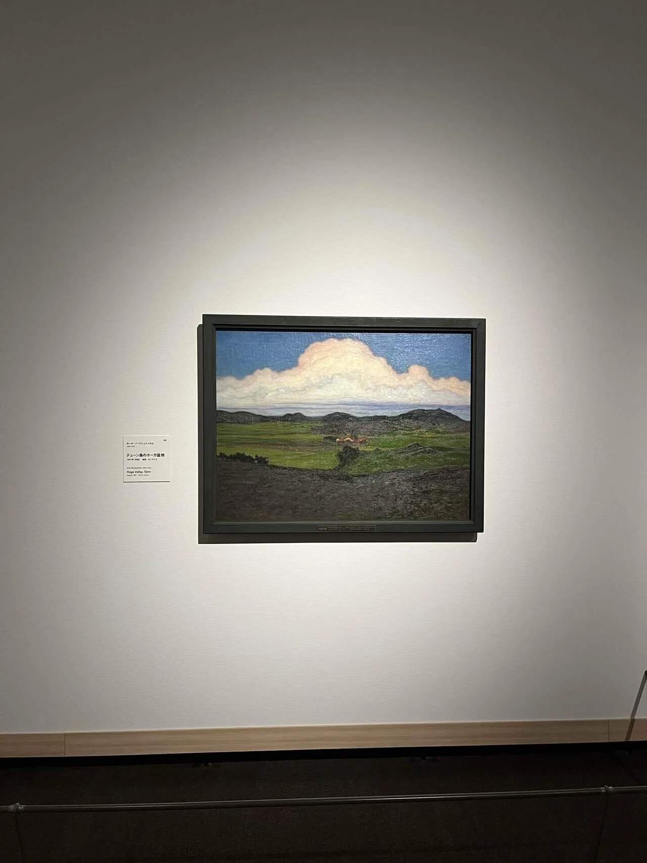 鮮やかな光の描き分け 東京都美術館「スウェーデン絵画 北欧の光、日常