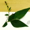 とが戸賀