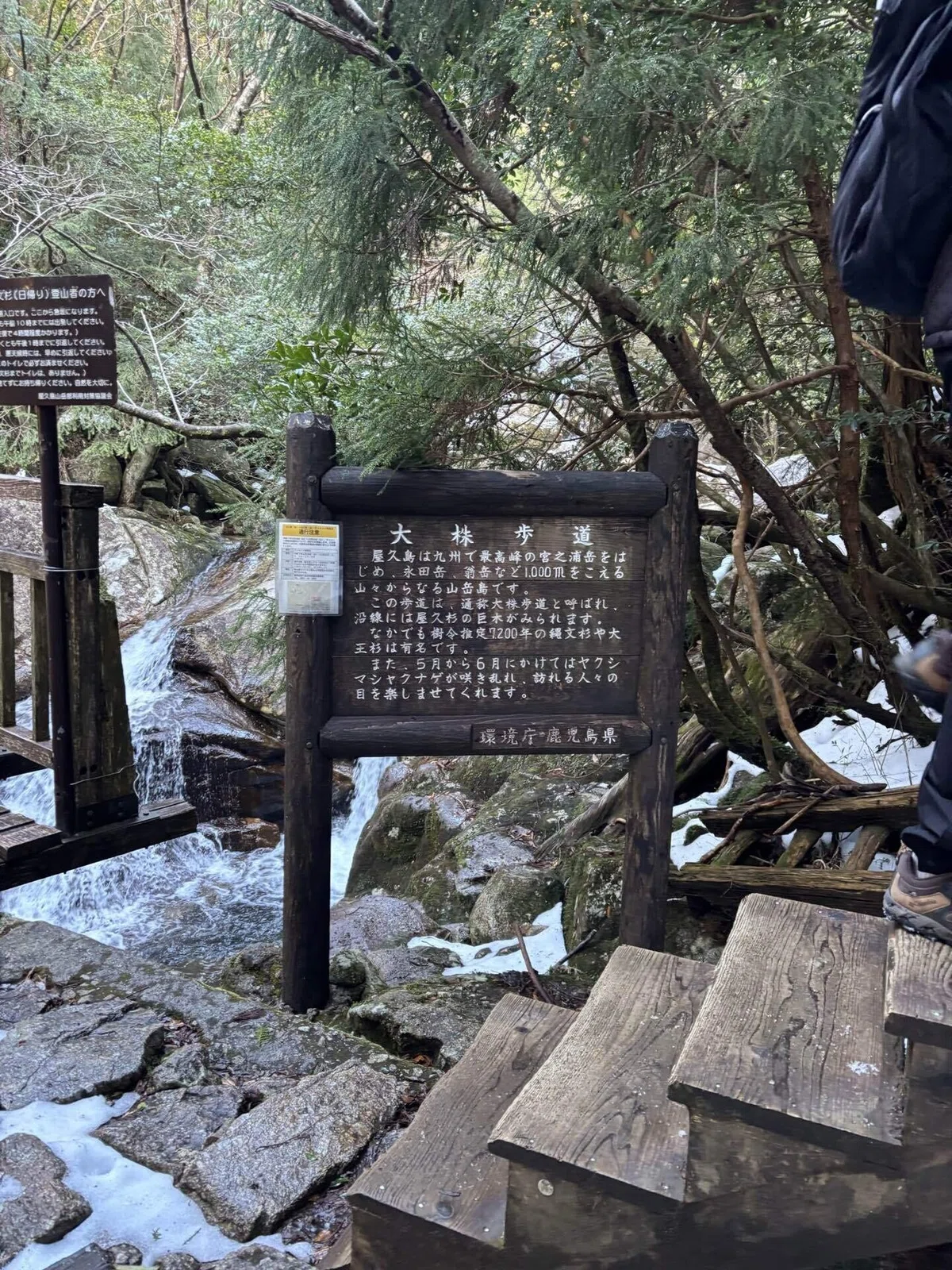 おひとりさま屋久島旅行記｜Hotaru / ほたる