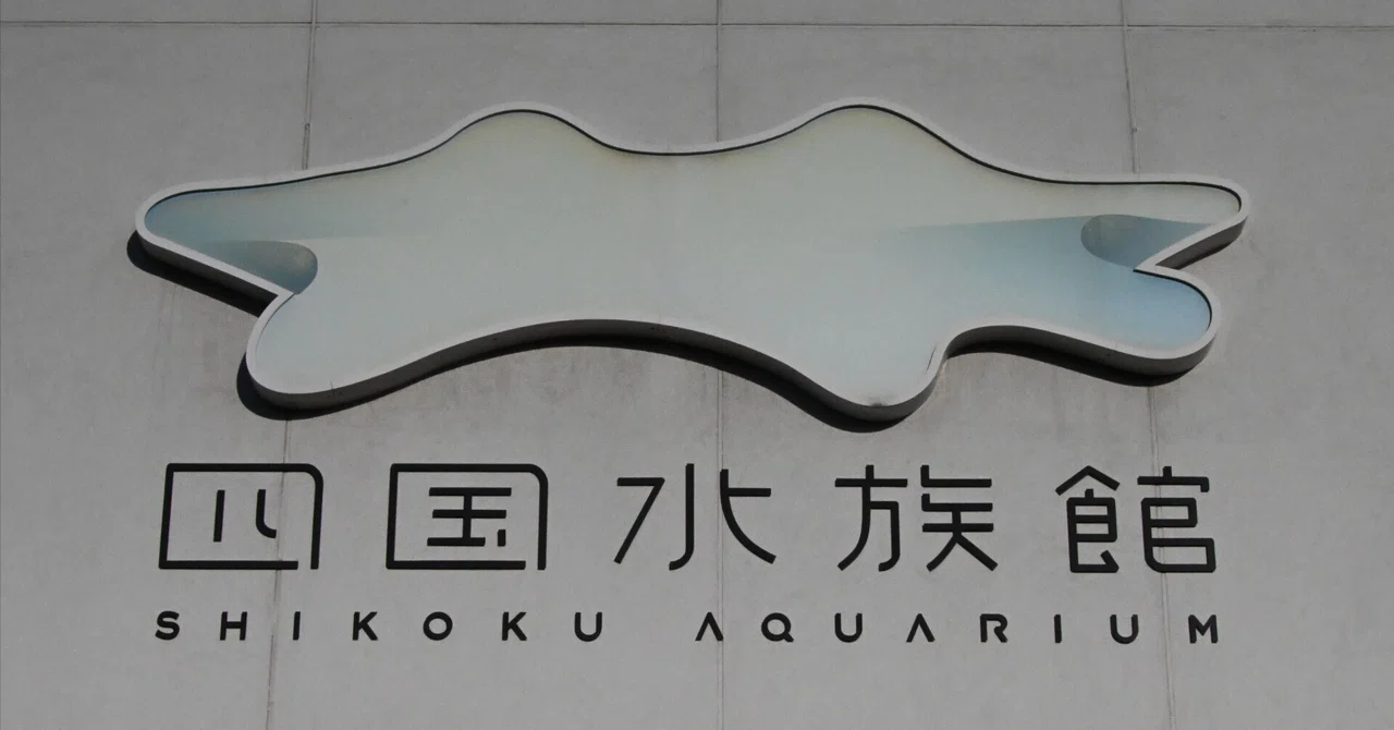 20260314_四国水族館【Nikon Z50IIと水族館】｜山ネズミ