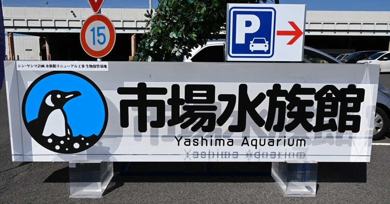 20260314_市場水族館【Nikon Z50IIと水族館】｜山ネズミ