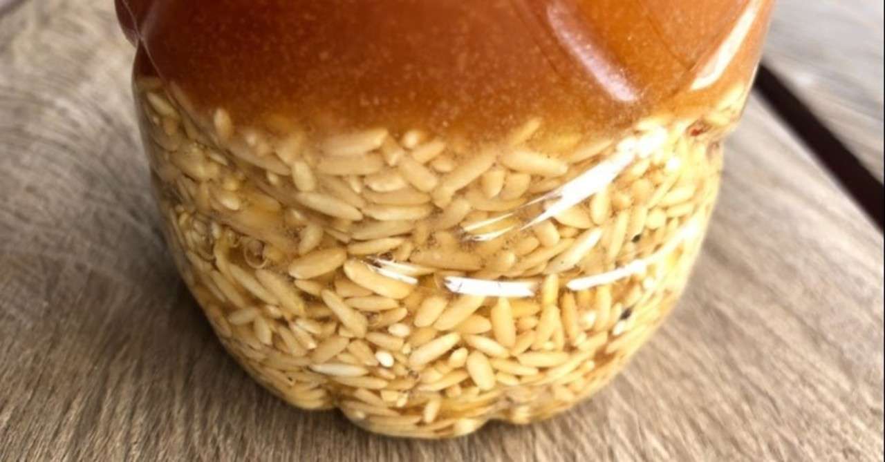 玄米酵素水 の新着タグ記事一覧 Note つくる つながる とどける