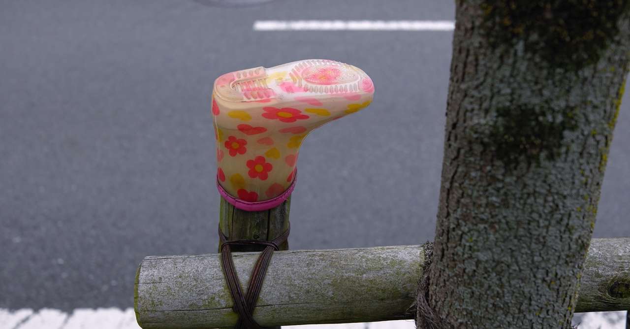 犬神家の一族 しーさん Note