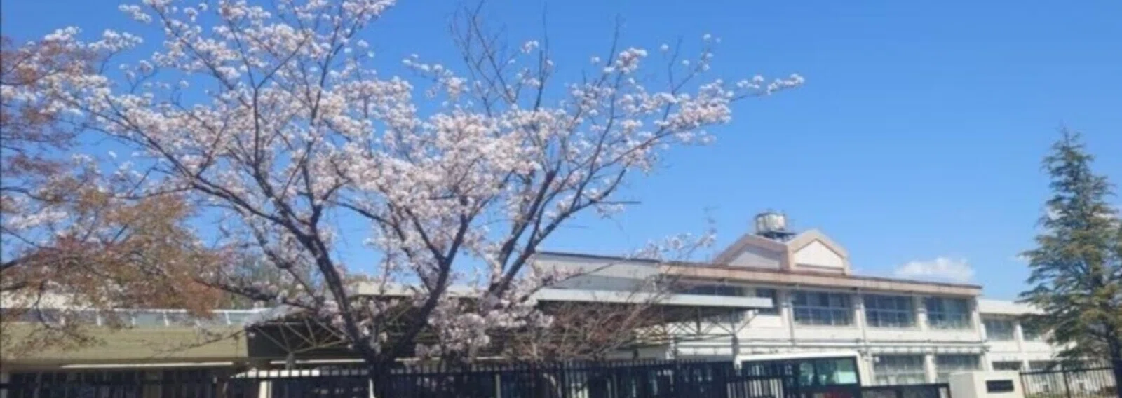 千葉 県立 野田 特別 支援 学校