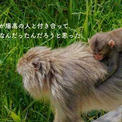 文化人類学から学んだこと。｜矢島 愛子 / Teaist🍵