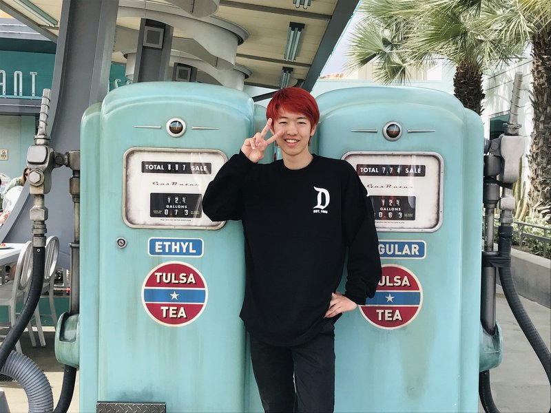 ひとりでカーズランドに行ってみた Naok Matsui 松井 直輝 Note