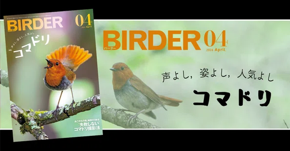 今月のBIRDER｜ブンイチ（文一総合出版）｜note