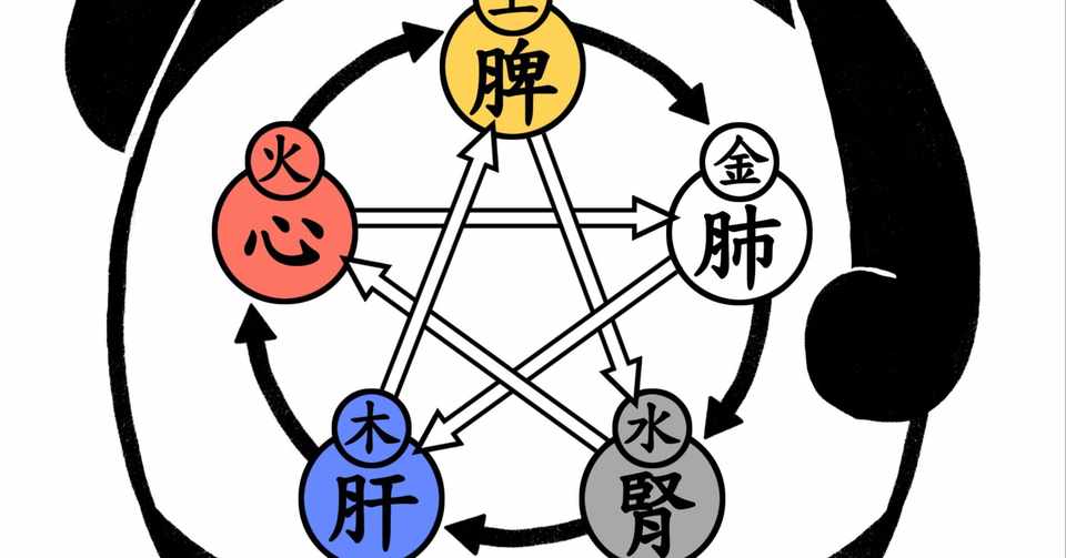 西洋医学と東洋医学の違いって ましも かえで薬局 世田谷八幡山の漢方 健康相談 Note