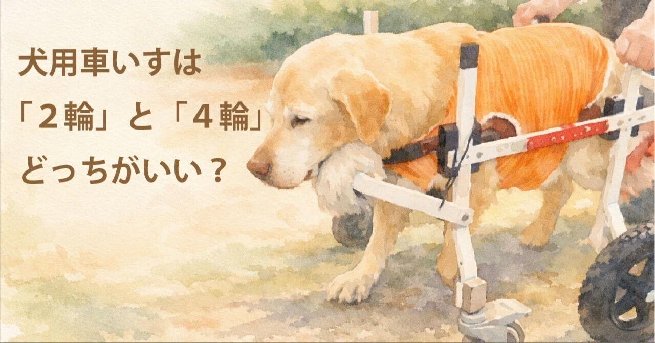 「2輪」と「4輪」どっちがいい？