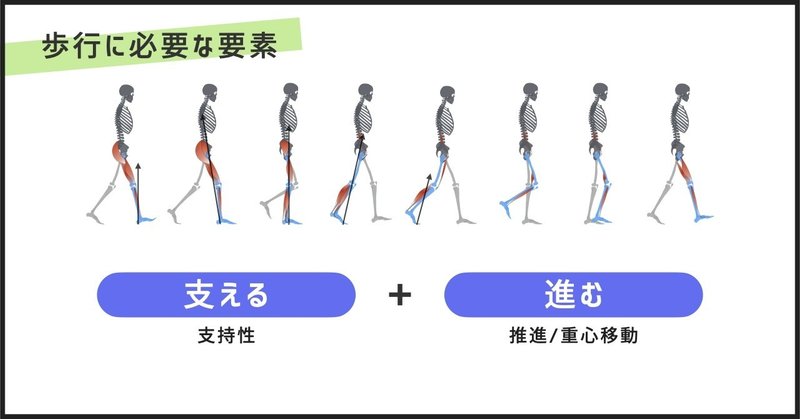 歩行と立位に共通する要素：歩行につなげるための座位・立位の評価と介入.004