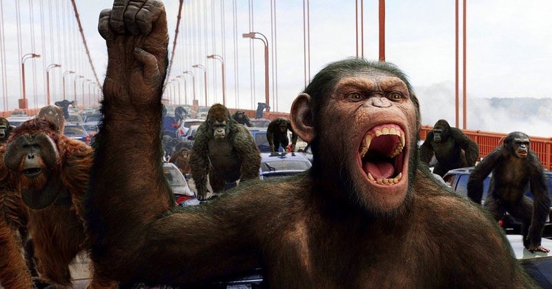 橋の上での戦闘 映画について 全田十五 note