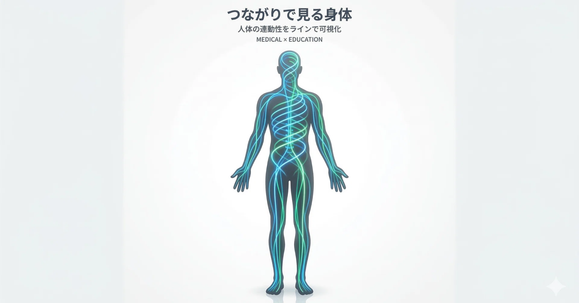 アナトミー・トレインとは何か？｜沖野 一平｜0から学ぶ解剖学と海外の