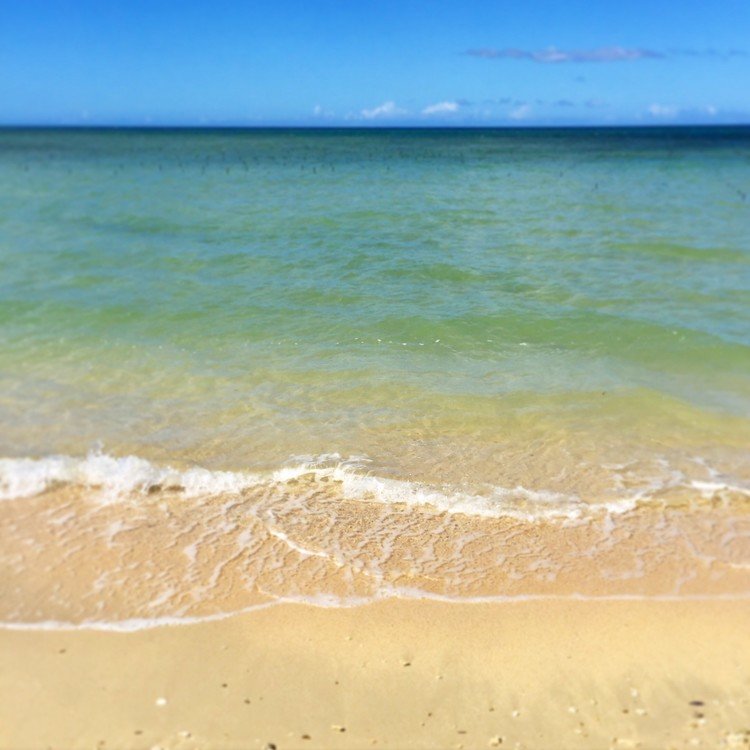 そろそろ海風にあたりたいです