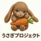 うさぎプロジェクト