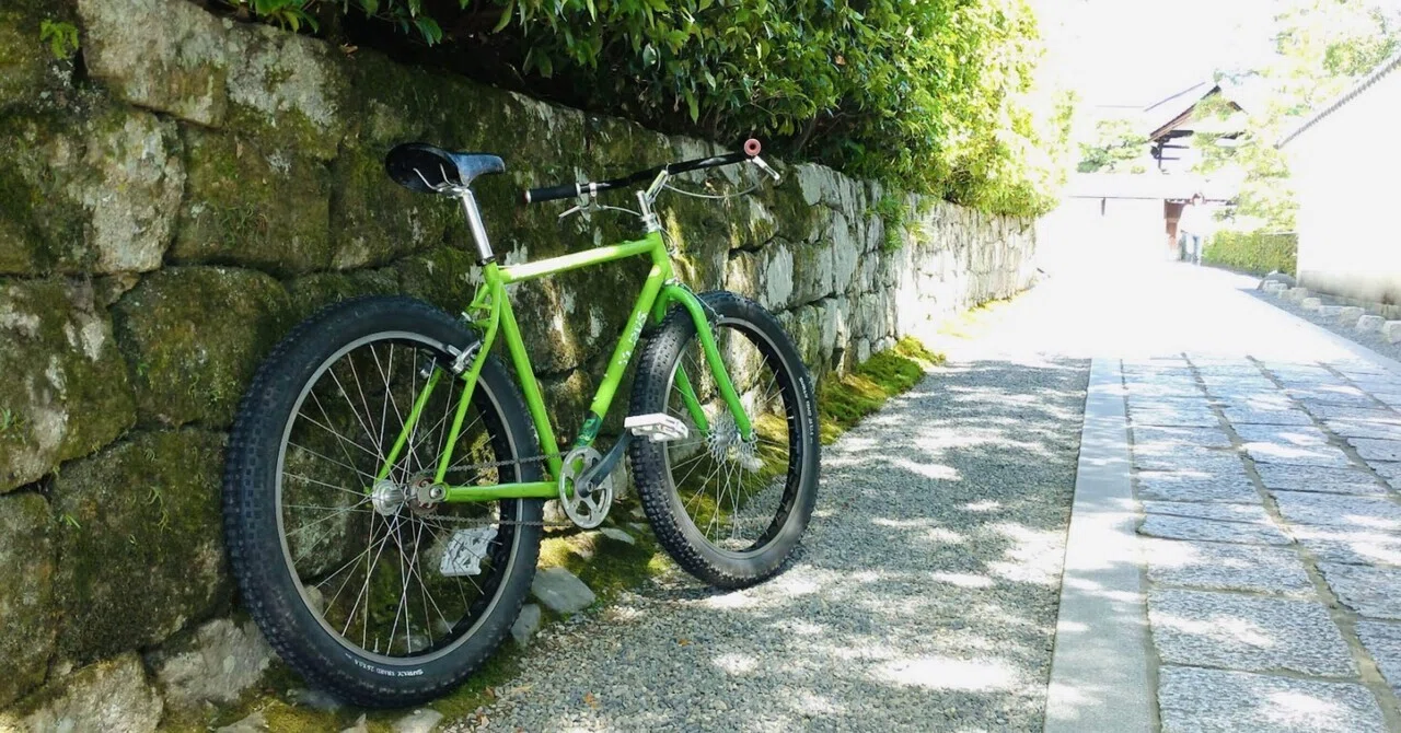 Surly 1×1｜FitInsole