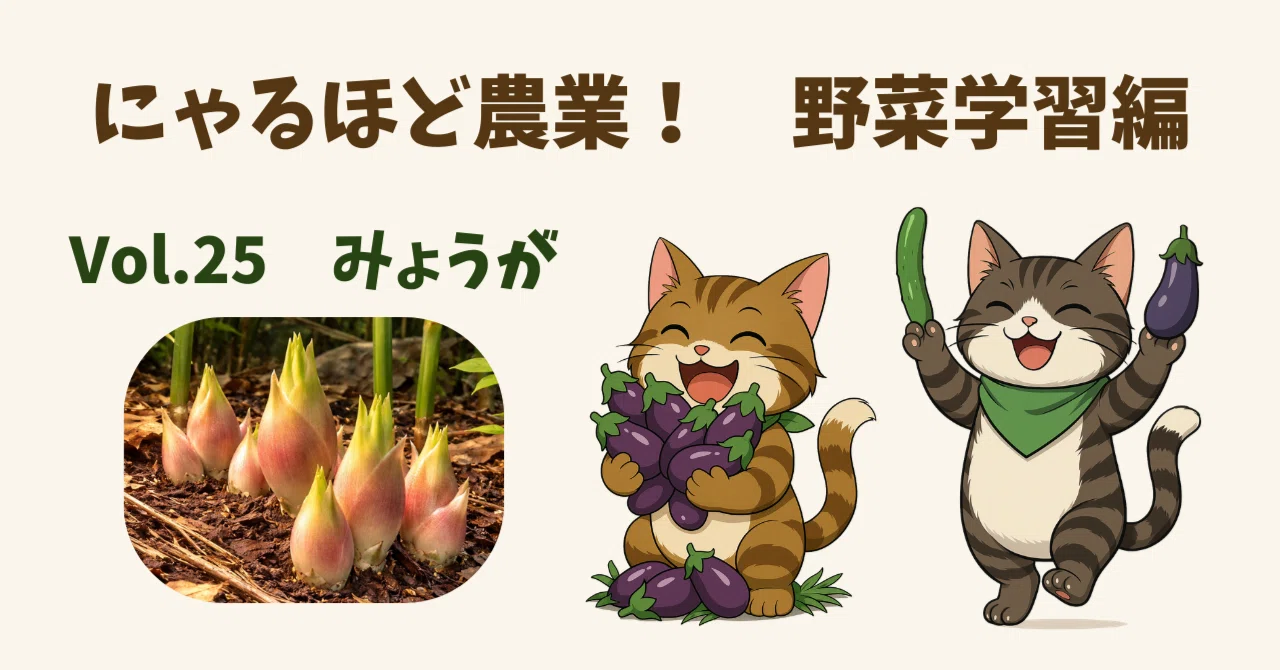 にゃるほど農業！野菜学習編 Vol.25｜みょうが｜ダイダラボッチの手 
