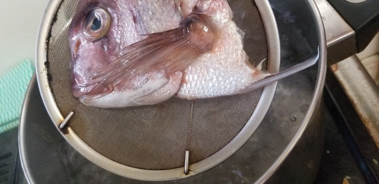 無料記事 アラから逸品 今日は湯引きの真鯛を食べよう 刺身 寿司 汁物で 魚っくん Manabu Note
