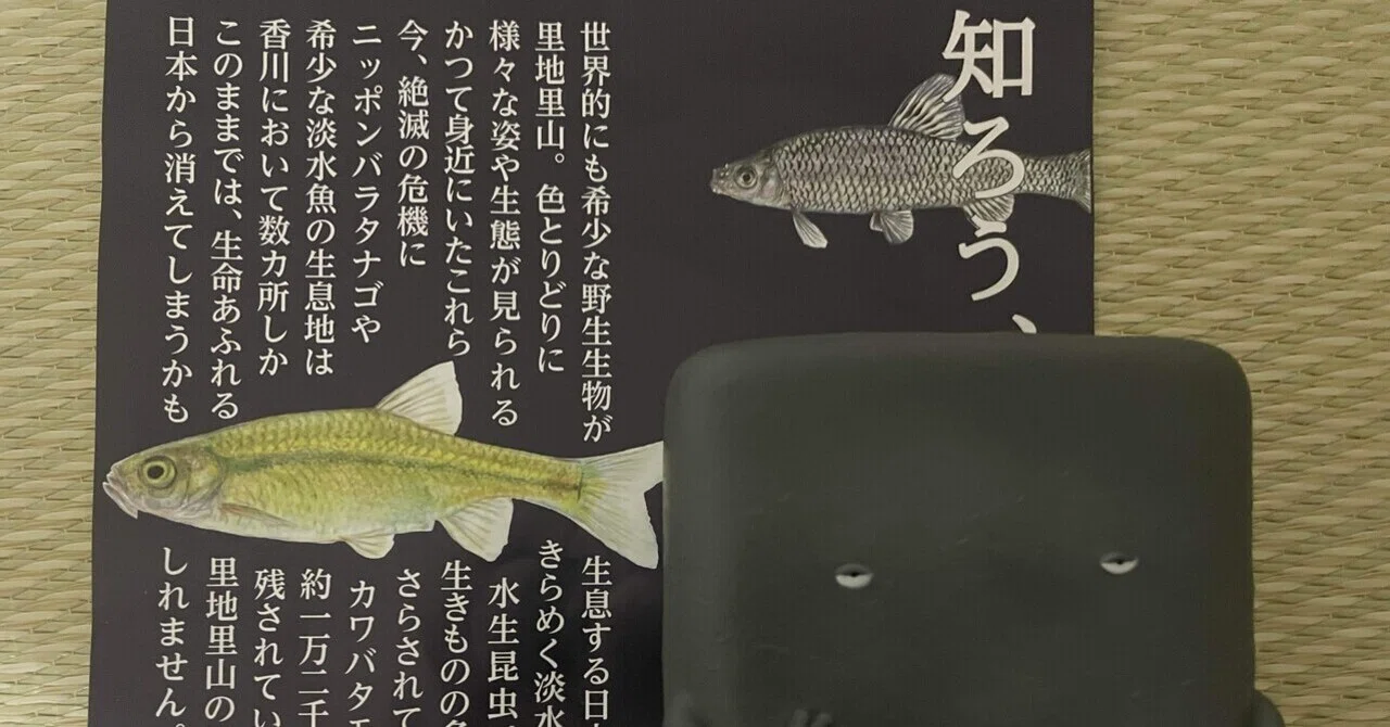 Kagawa, the Kingdom of Reservoirs: Rare Freshwater Fish and a Pamphlet ...