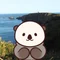 【公式】浜中町観光協会