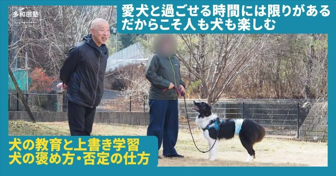 【中古】 犬と人が出会うとき 愛犬と過ごせる時間には限りがある、だからこそ人も犬も楽しむ｜多和田