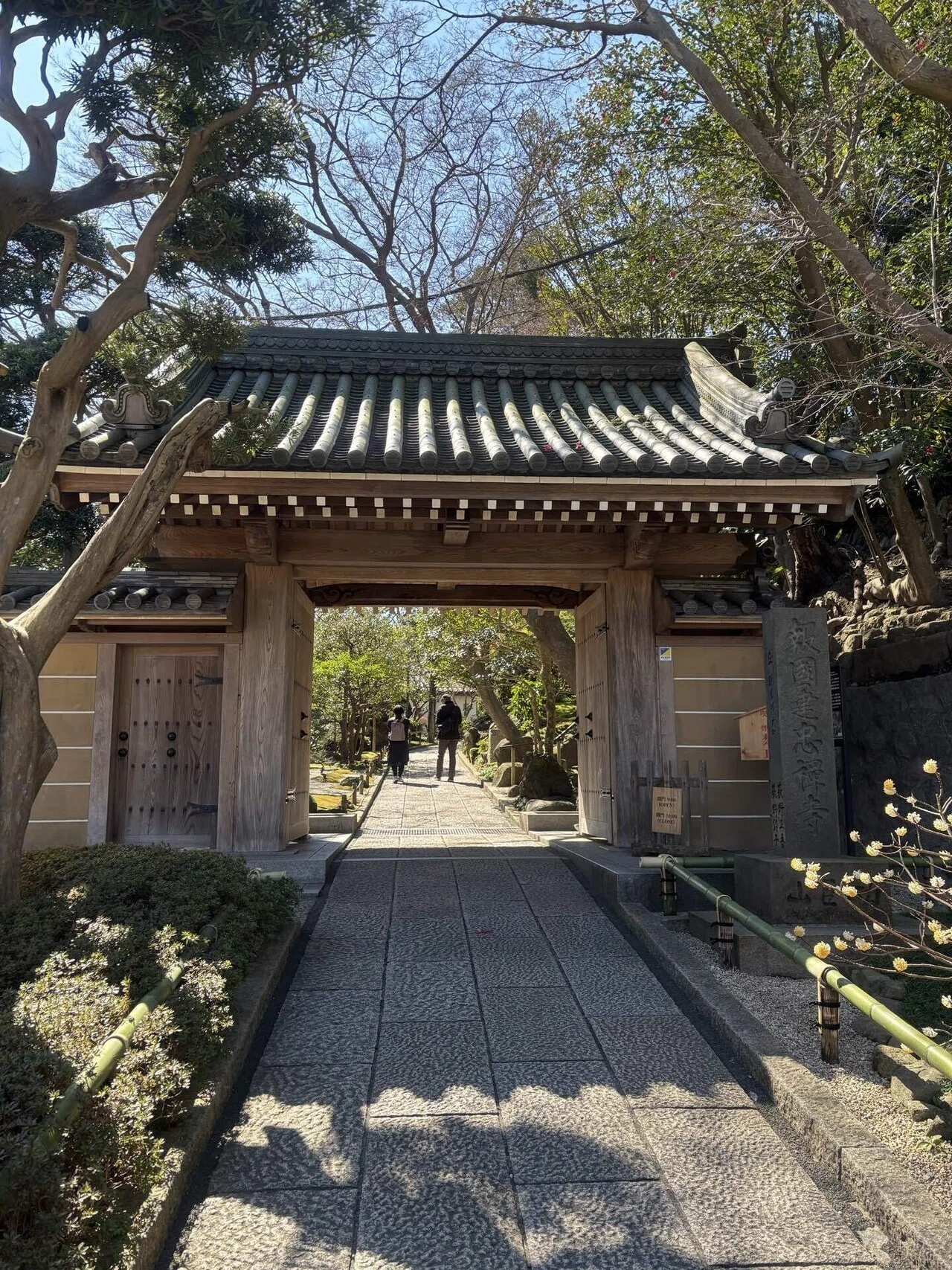 旅日記：鎌倉小旅行🕊️｜とうどうゆう
