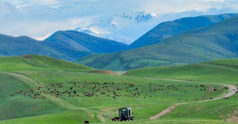 「白いヤク」が土地を癒やす　キルギス、過酷な山岳国家の持続可能な牧畜戦略