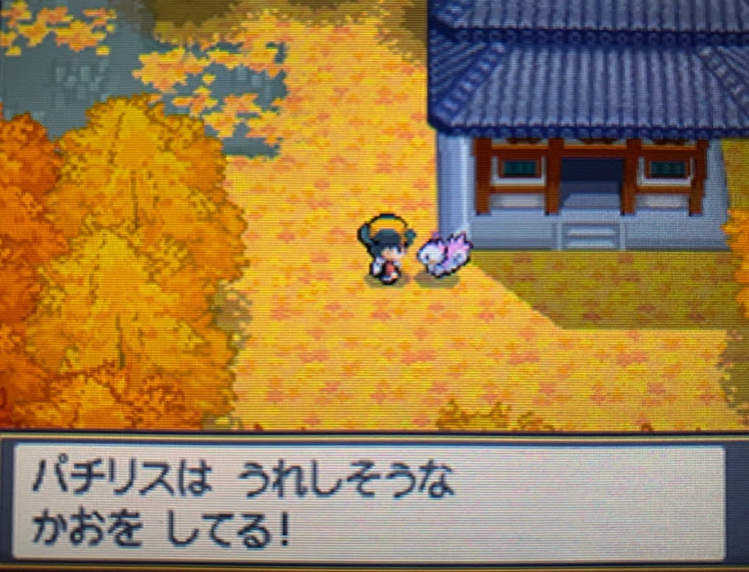 ポケモンというあらゆる層に優しいナイスコンテンツ｜ねむみんB