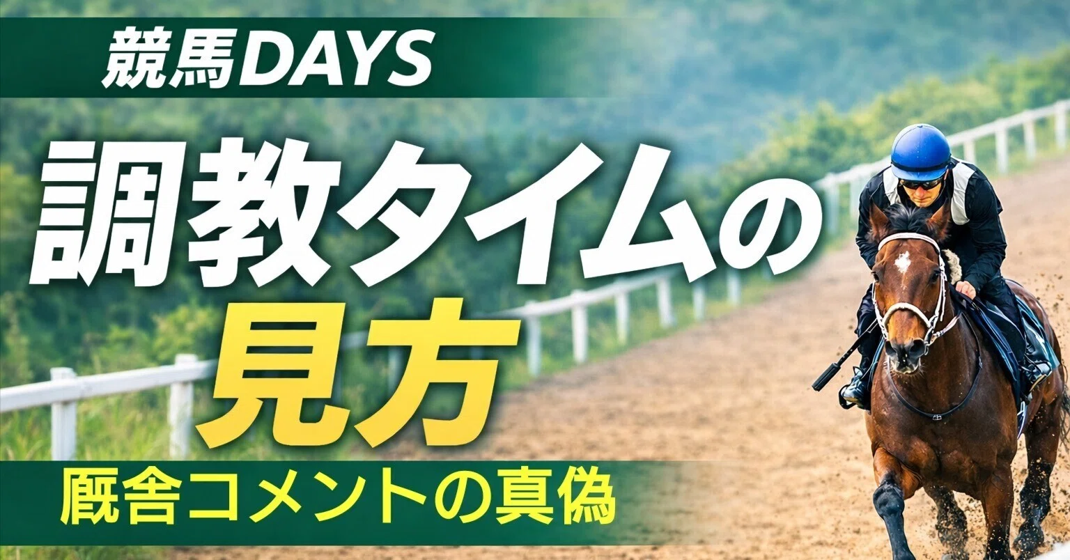 調教欄の厩舎コメントとは？馬券に活かす読み方｜競馬DAYS~調教から
