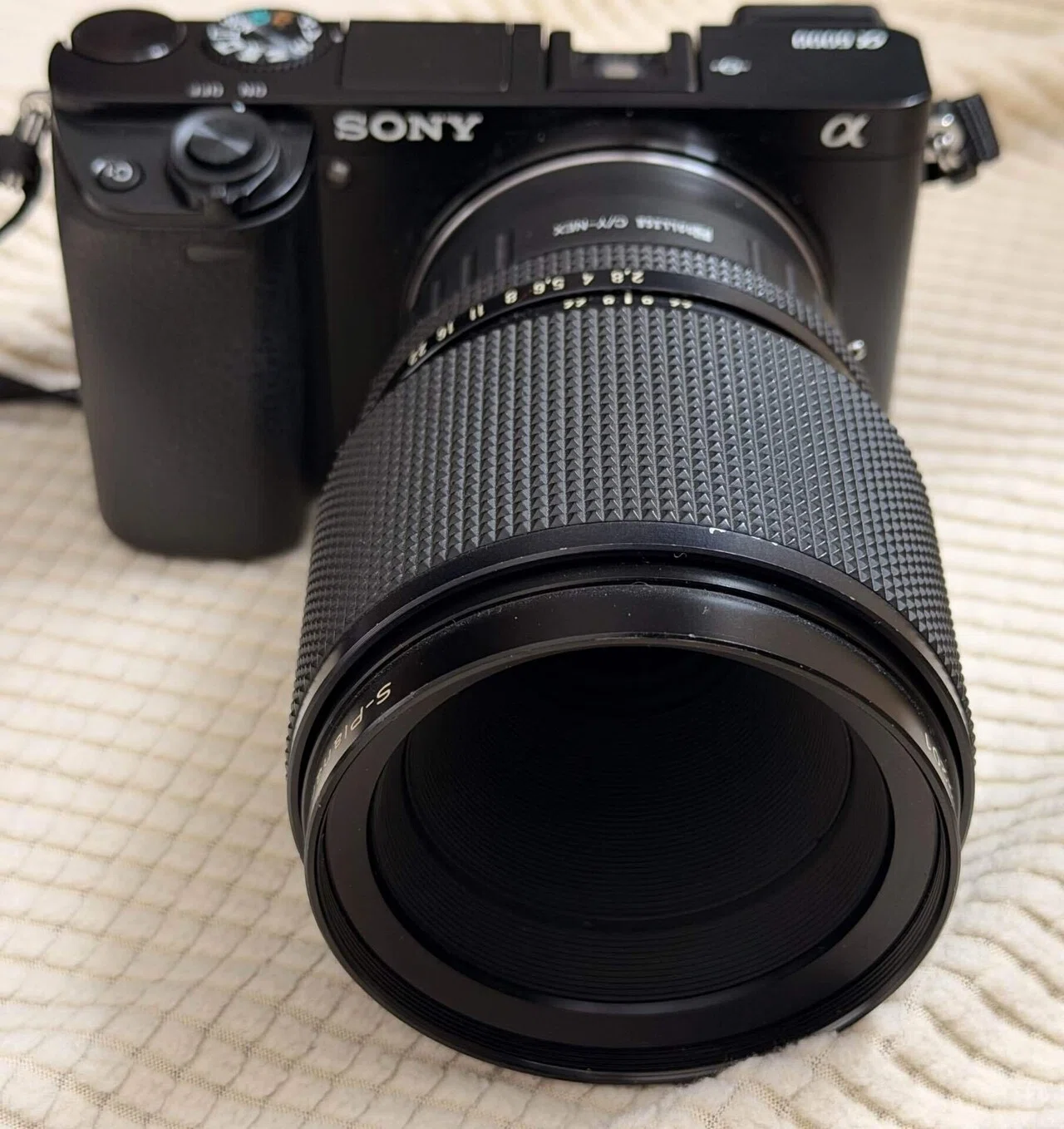 Carl Zeiss Macro S-Planar 1:2.8 f=60mm + Sony α6000｜アラン藤島