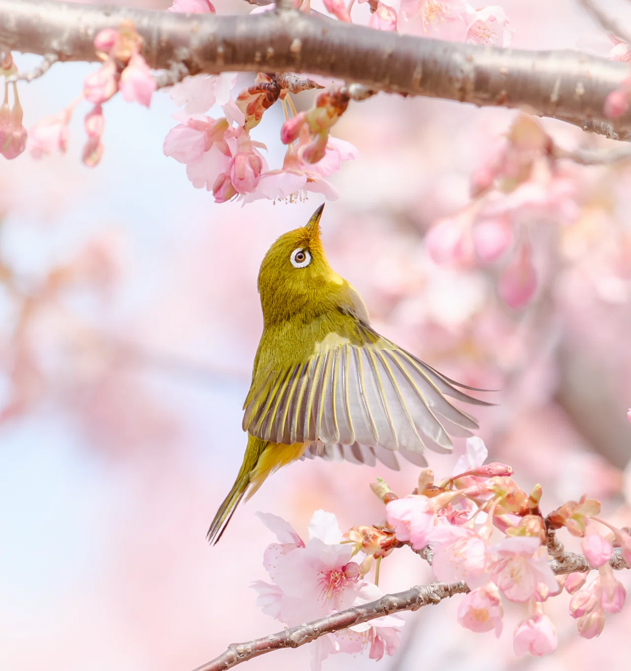 AIが写真を作れる時代に、カメラを持つ意味。｜sho
