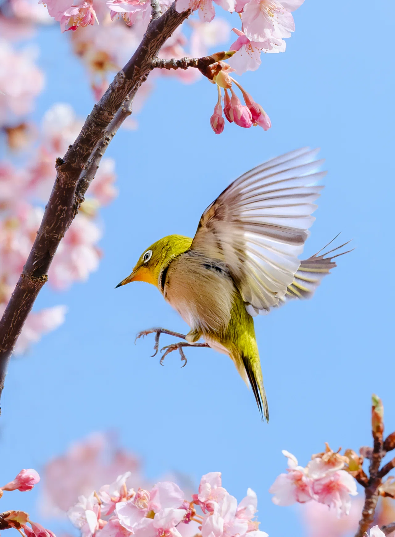 AIが写真を作れる時代に、カメラを持つ意味。｜sho