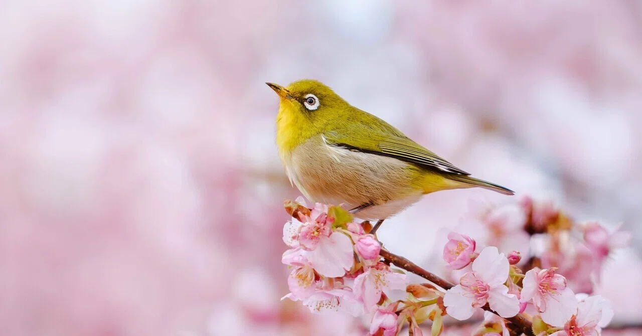 AIが写真を作れる時代に、カメラを持つ意味。｜sho