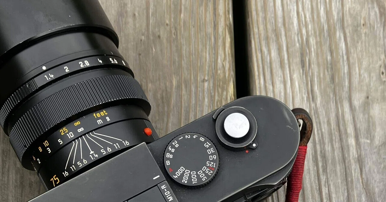 SUMMILUX-M 75mm f1.4 2ndを改めて使ってみる。（3年目レビュー）｜nay