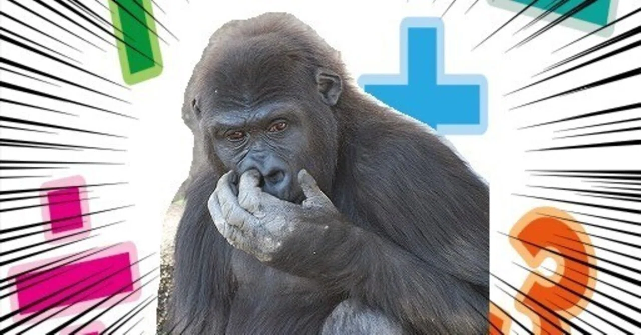 C Programming for Dummies (Even Monkeys Can Understand) Part 5: You ...
