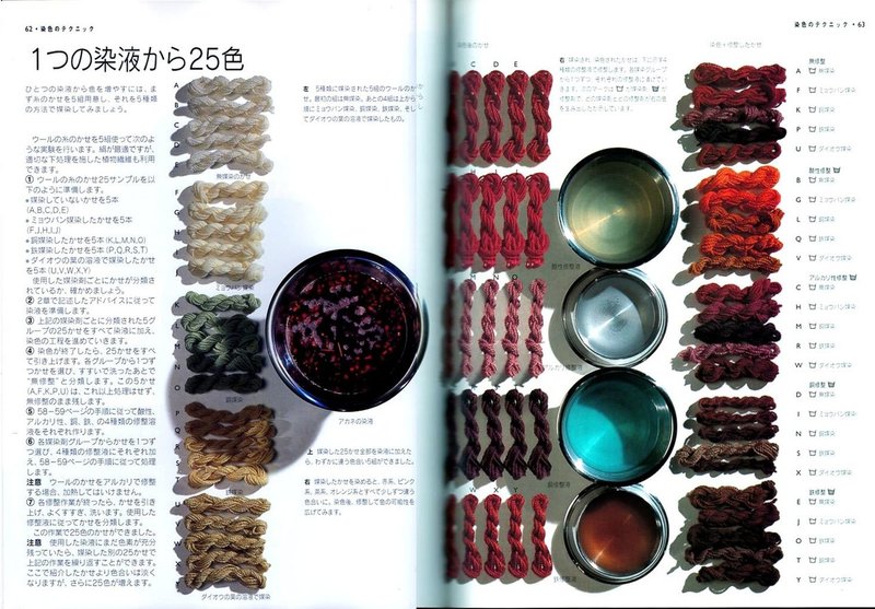 ワイルドカラー Wild Colour Jenny Dean著 Daddylongbody Note