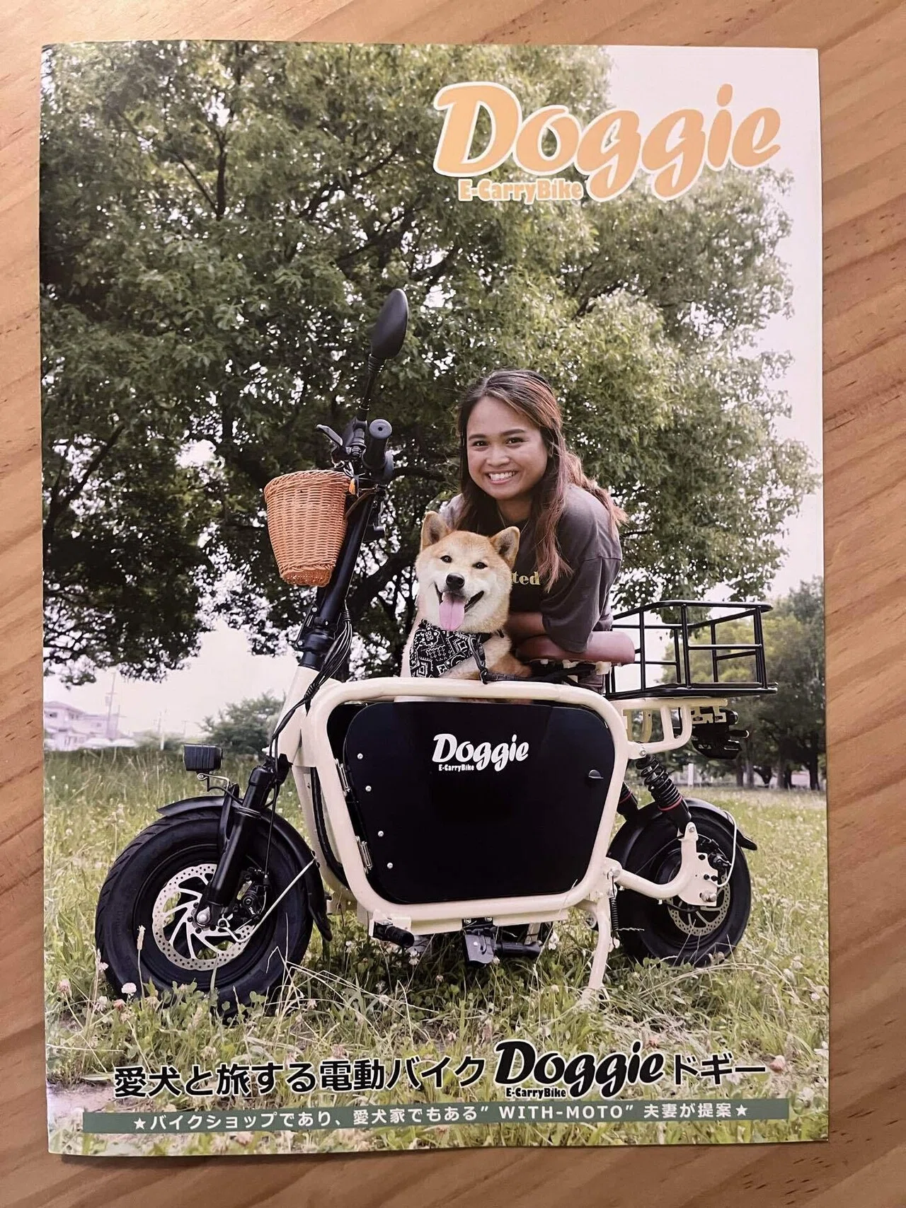 Doggieのパンフレットを持ち帰った|犬より先に浮かんだもの|マイキー🐣 Doggieのパンフレットを持ち帰った|犬より先に浮かんだもの|マイキー🐣