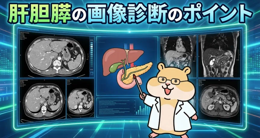 肝胆膵（Hepatobiliary & Pancreas）｜とっとこ画像診断太郎｜note